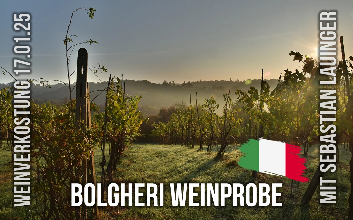 Bolgheri-Weinprobe: Die Schätze der Toskana