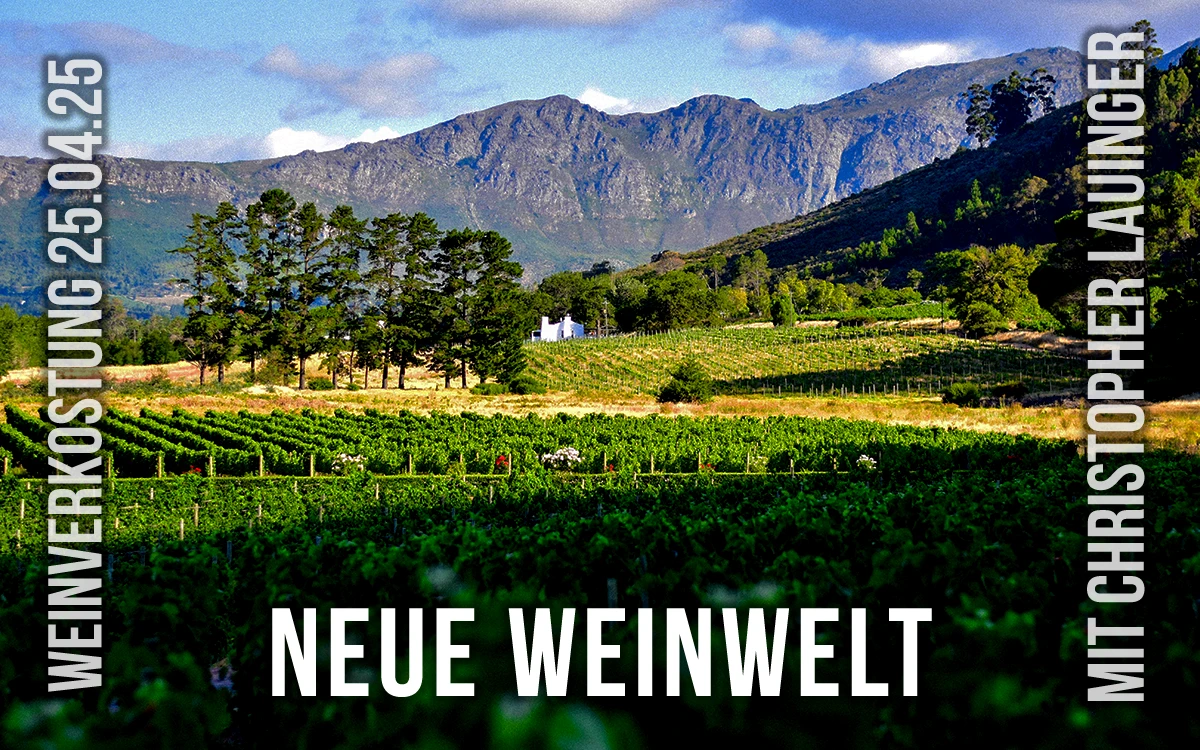 NEUE WEINWELT Verkostung